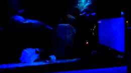 Video Becken im Mond-Modus von FrankenWasser (5tq9J4eMWLs)