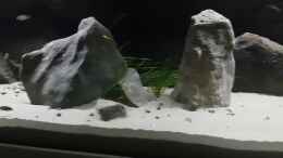 Video Sandsieber Dream von ehemaliger User (62raSgcQ01g)