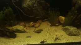 Video Weiter drüben  von der Steirer (6AYAozIL9aE)