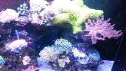 Video Das erste Jahr. von Tim1979 (6GBpD9DcX34)