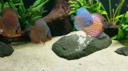 Video Ruhe nach dem Sturm  von Hoffi (6JjTbx2F758)