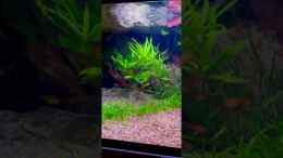 Video Abendstimmung  von André Sidler (6Op2S5Ns6Xo)