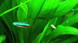 Video Video von Einrichtungsbeispiele.de von atom010 (6lEmHrgnQ8I)