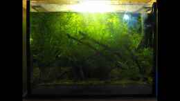 Video Sonnenuntergang von chrisi01 (6p8-IllMA34)