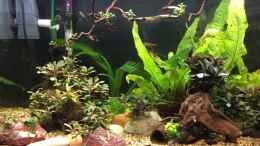 Video Papua Neuguinea von herkla (6rImsHJKv0A)