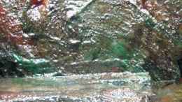 Video * Course of Stream * von ehemaliger User (77Y07cXlTuk)