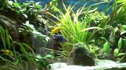 Video Ostafrikanisches Becken von Robin (78Kh2EBx-Xs)