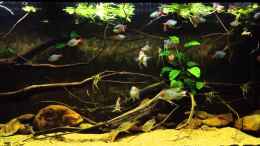 Video kurz mal durchgefilmt von Thomas S-H (7HDywUftMT4)