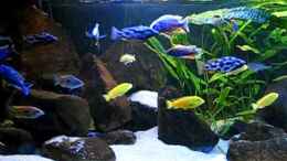 Video von Oeli (7QYL6Ai7mx8)