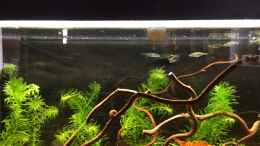 Video 30.10.2019 Fütterung der Raubtiere von herkla (7ZP4qjsVlAg)