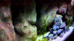 Video Video von Einrichtungsbeispiele.de von Mario M. (83gKJOuPO0E)