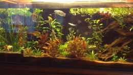 Video Aquarium 240 von Ceylon (858Jvi40V_Y)