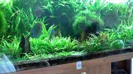 Video Wildfang Nahamunda River von peaches (8NgdchWgtg4)