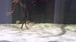 Video Video von einrichtungsbeispiele.de von Bernd N. (8QFgd_OAecA)