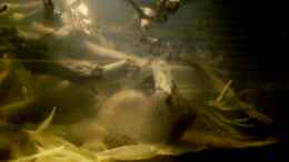 Video Neu eingerichtet von Didi (8l39jLdKJDw)