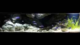 Video Big Bang Malawi von AjakAndi (8wRrC6BR-C4)