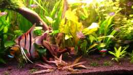 Video Mein Becken 13.01.14 von semimarinus (8zGv1Dx1log)