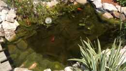 Video Kurz gefilmt von Thomas S-H (94nmlvQ_Zs8)