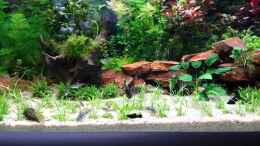 Video Video von Einrichtungsbeispiele.de von schilli (95VT4R60B-s)