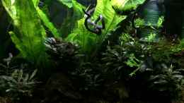 Video Abenddämmerung in Papua Neu Guinea von herkla (9GeG9rsgw64)