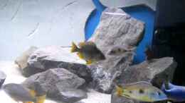 Video Malawi Utakas von ehemaliger User (9_-dxISaLFw)