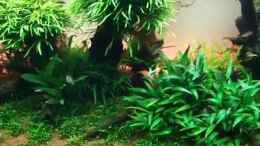 Video kleine Rundgang von ManiacXL (A-5ROUvbAYU)