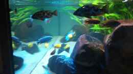 Video von Oeli (A2OwY4XAO3o)