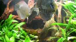 Video Diskus von ehemaliger User (ALB91qR-ADM)