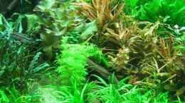 Video Stand Okt.2014, 1120 Liter von Rheinländer (AfNV8wJ3X-w)