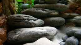 Video Tanganjika mal anders von Moorna (Anwn_2DYw5E)