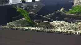 Video Strömungsbecken mit Regenbogenelritzen von pacho (AqYL1E9-TQs)