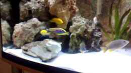 Video Malawi-Becken-400Liter von Lutz K (AsiSy1jZlTc)