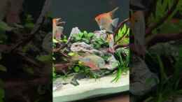 Video Stand 10.2020 - Video 2 von Michinet (Au5nD6pdsh0)