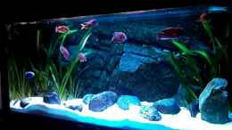 Video Malawi 450L NonMbunas von TheToxicAvenger (AuANlTGBhyk)