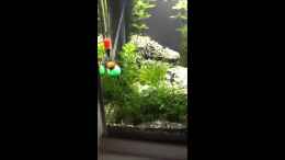 Video Video von Einrichtungsbeispiele.de von Nano73 (B01M1mxm_pA)