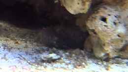 Video Video von Einrichtungsbeispiele.de von Christian Bayerl (BDgf1I4V_8Q)