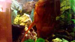 Video Video von einrichtungsbeispiele.de von Lars 300l 1. (BR7-4ha_D6k)