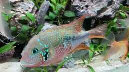 Video Stand 10.2020 - Video 3 von Michinet (BY_ykAR8IH0)