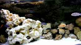 Video ??bersicht von African Lake (Btp3VY1bzCI)