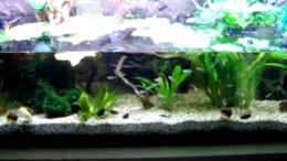 Video Video von Einrichtungsbeispiele.de von schnitzler (C23d42f6YLI)