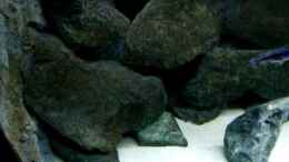 Video Mbunasuppe von T H O R (CECmzj3JEgI)