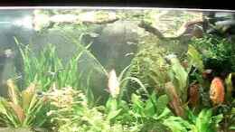 Video Diskusbecken von ehemaliger User (CHTimrIm19Y)