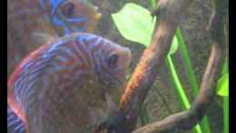 Video Eiablage von Marie-Christin (ChtHFhwcJLI)