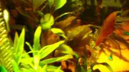 Video Diskus-Freak von Diskus-Freak®aka Benny&Anja (Cw5-qxqFkNY)