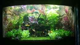 Video Frontansicht von Sprutz1973 (DD38sEQcjkU)