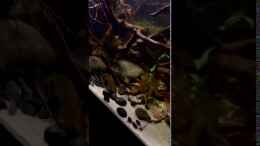 Video Die Jungs von NaMo (DH4jstoUAIA)