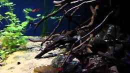 Video Rio Formoso--die erste von die Perle... (Db7qVqxaVLQ)