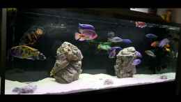 Video V0 von Malawi-Guard (Dgb-E4QqnNY)