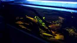 Video Gesamtblick Becken von Tiburón (DwZmWWyqTxE)