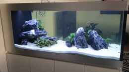 Video Erste Woche nach Einsetzen von Ravy (E1R9dehaMBk)